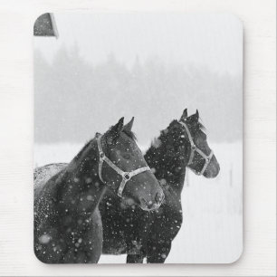 Pferde im Schneefall Mousepad