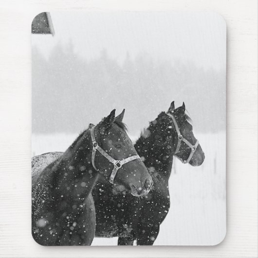 Pferde im Schneefall Mousepad (Vorne)