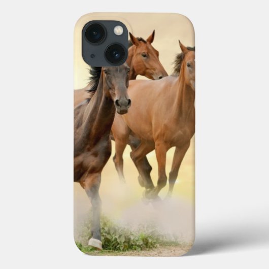 Pferde im Sonnenuntergang Case-Mate iPhone Hülle (Rückseite)
