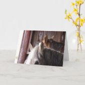 Pferde im Stall, Geburtstag Karte (Gelbe Blume)