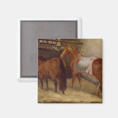 Pferde im Stall Magnet (Vorderseite/Rückseite)