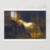 Pferde im Stall Postkarte (Vorderseite)