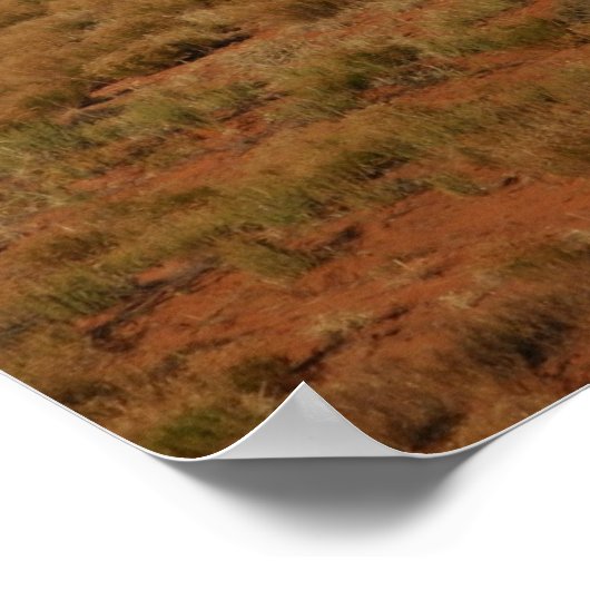 Pferde im Western Poster (Ecke)