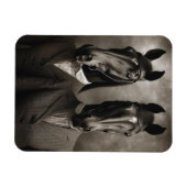 Pferde in Anzügen Magnet (Horizontal)