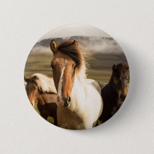 Pferde in den Bergen Schöne und majestätische Button