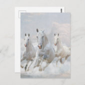Pferde in den Wolken Postkarte (Vorne/Hinten)