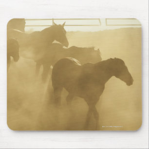 Pferde in der Hürde Mousepad