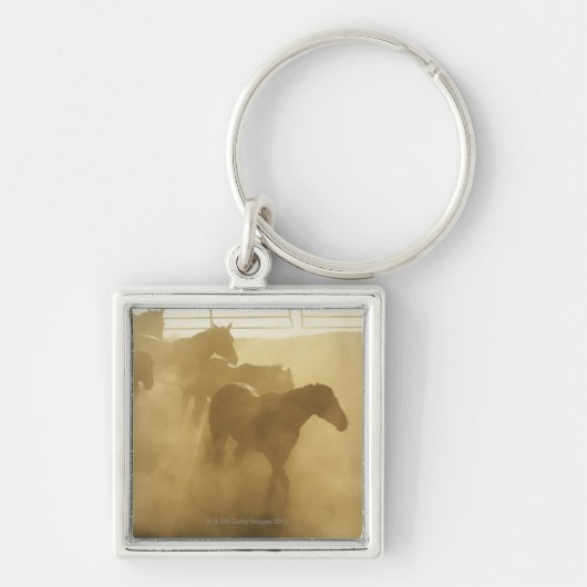 Pferde in der Hürde Schlüsselanhänger (Vorne)