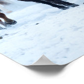 Pferde in der Kälte Poster (Ecke)