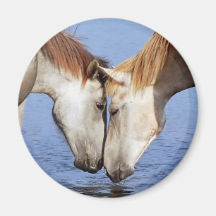 PFERDE IN DER LIEBE MAGNET