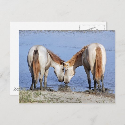 PFERDE IN DER LIEBE POSTCARD POSTKARTE (Vorne/Hinten)