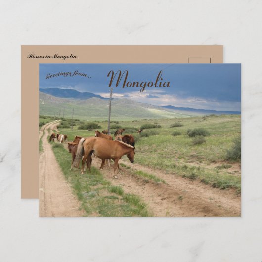Pferde in der Mongolei Postkarte (Vorne/Hinten)