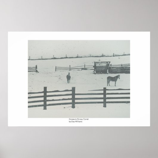 Pferde in der Snowy Corral Poster (Vorne)