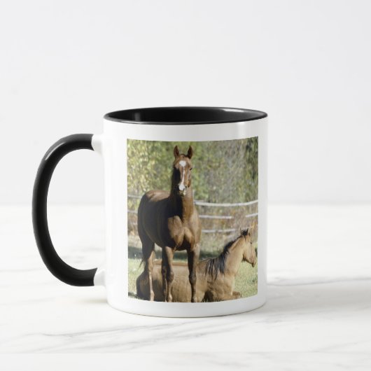 Pferde in der Weide Tasse (Links)