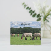 Pferde in Durbuy Belgien Postkarte (Stehend Vorderseite)