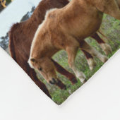 Pferde in einem Fotomaterial, große Fleecedecke. Fleecedecke (Ecke)