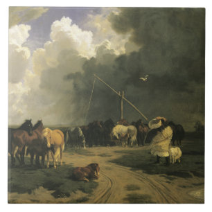 Pferde in einem Regensturm (Equine) Fliese