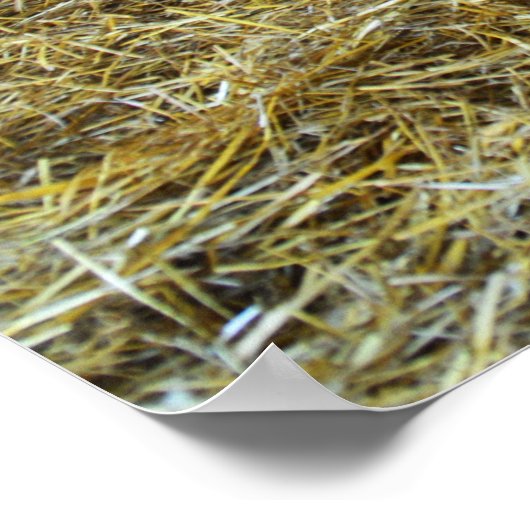 Pferde in einem Stall Poster (Ecke)