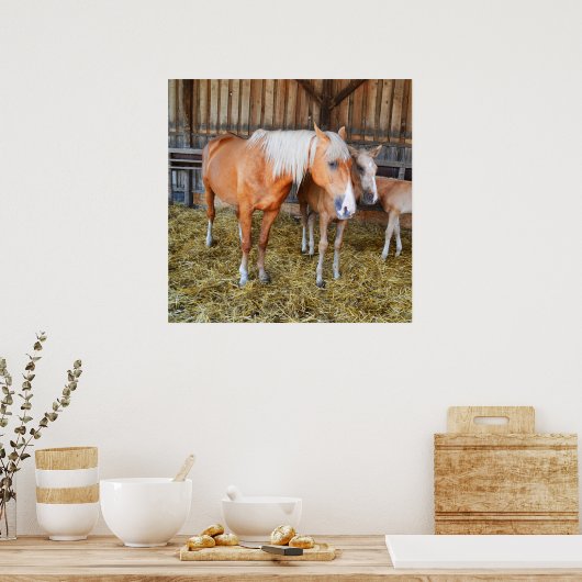 Pferde in einem Stall Poster (Küche)