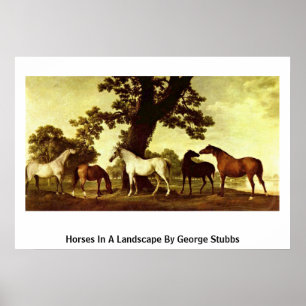 Pferde in einer Landschaft durch George Stubbs Poster