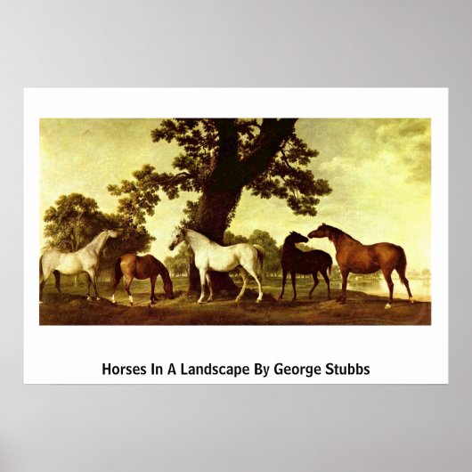 Pferde in einer Landschaft von George Stubbs Poster (Vorne)