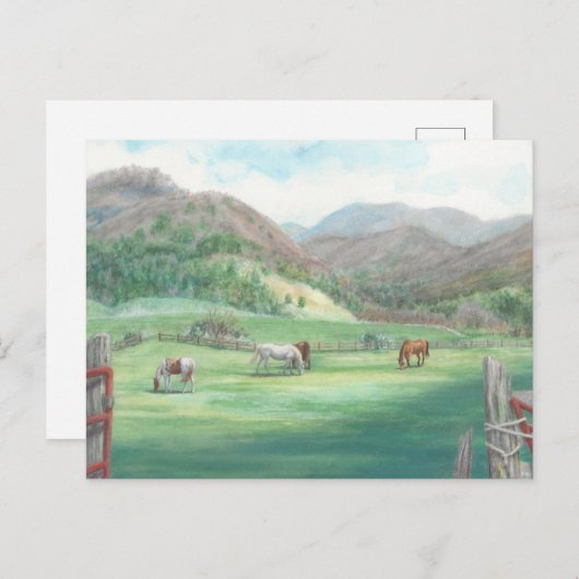 "Pferde in einer Weide." Postkarte (Vorne/Hinten)