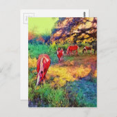 Pferde in einer Weide Postkarte (Vorne/Hinten)