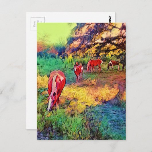 Pferde in einer Weide Postkarte (Vorne/Hinten)