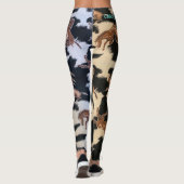PFERDE IN LEGGINGS (Rückseite)
