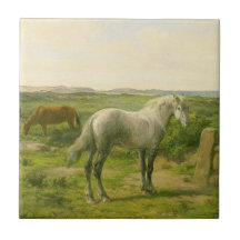 Pferde in Meeresnähe (von Rosa Bonheur)
