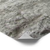 Pferde in Ocala, Florida Art Poster (Ecke)