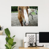 Pferde in Ocala, Florida Art Poster (Heimbüro)