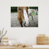 Pferde in Ocala, Florida Art Poster (Küche)