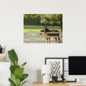 Pferde in Pferdeweiden Fotoposter Kunst Poster (Heimbüro)