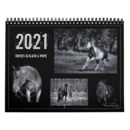 Pferde in Schwarz und Weiß - Pferdekalender 2021 Kalender