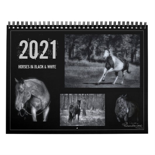 Pferde in Schwarz und Weiß - Pferdekalender 2021 Kalender (Titelbild)