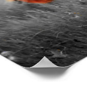 Pferde in Teilfarbfotografie Poster (Ecke)