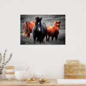 Pferde in Teilfarbfotografie Poster (Küche)