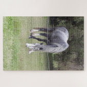 Pferde Jigsaw Puzzle (Horizontal)