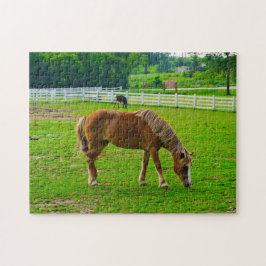 Pferde Jigsaw Puzzle