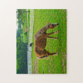 Pferde Jigsaw Puzzle (Vertikal)