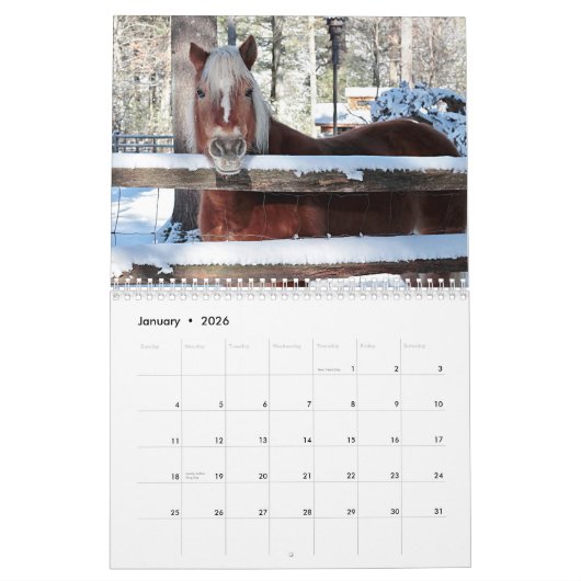 Pferde Kalender (Jan 2026)