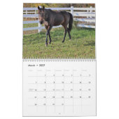 Pferde Kalender (Mär 2027)