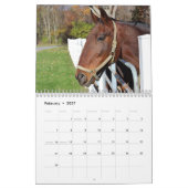 Pferde Kalender (Feb 2027)