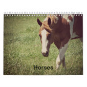 Pferde Kalender (Titelbild)