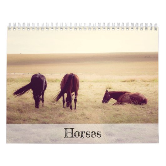 Pferde Kalender (Titelbild)