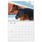 Pferde - Kalender 2017 (Mär 2027)