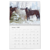 Pferde - Kalender 2017 (Jan 2027)