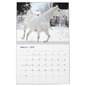 Pferde - Kalender 2017 (Feb 2027)