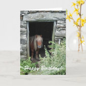 PFERDE KARTE (Gelbe Blume)